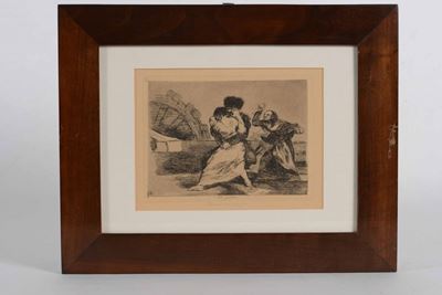 Francisco Goya No Requieren