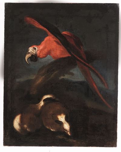 Anton Maria Vassallo (genova 1620 - Milano 1654)pappagallo e Cavie