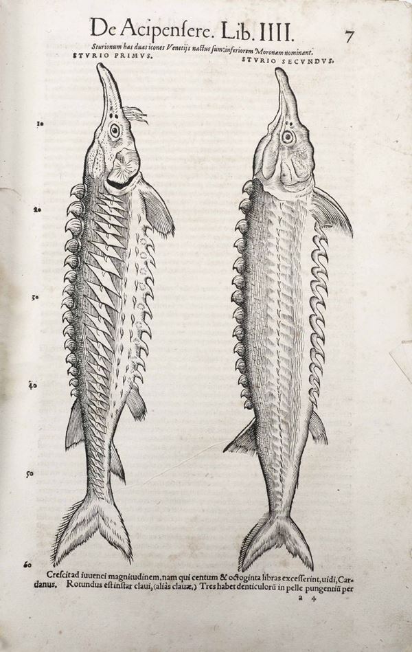 Gessner Conrad Historiae Animalium. (1587)...(Scompleta e difettosa)