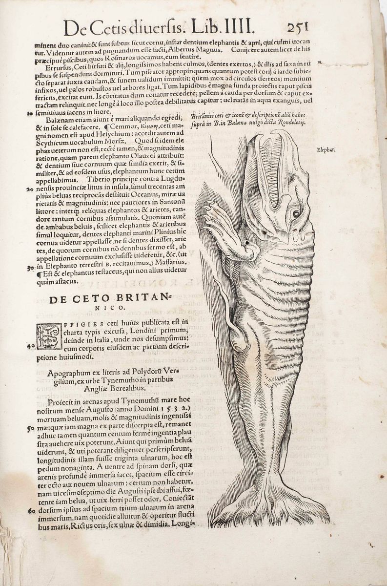 Gessner Conradhistoriae Animalium. (1587)...(scompleta e Difettosa)