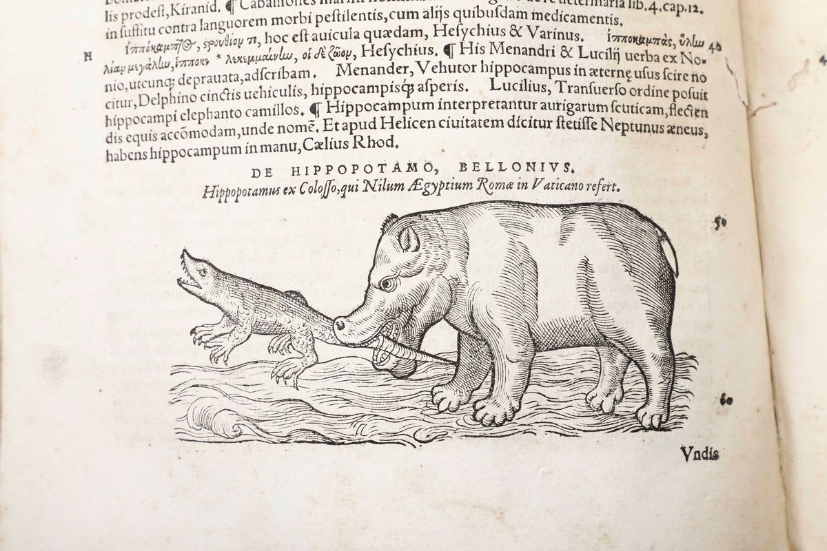 Gessner Conradhistoriae Animalium. (1587)...(scompleta e Difettosa)
