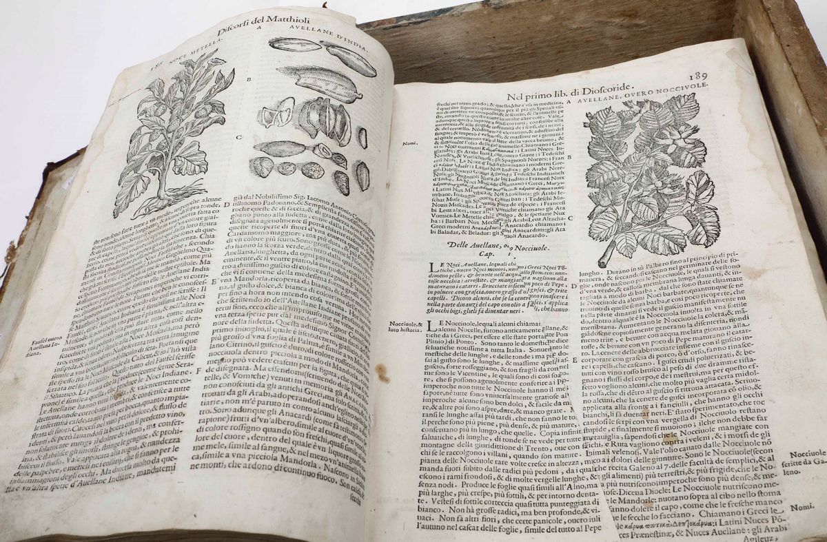 Matthioli, Pietro Andreai Discorsi di M. Pietro Andrea Matthioli Medico Sanese...(venezia, Valgri...