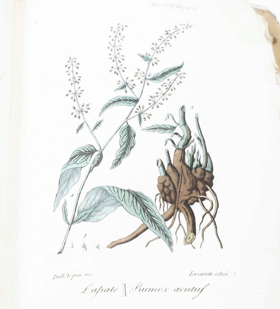 Seroux D'agincourtstoria Dell'arte...prato,giacchetti,1826-