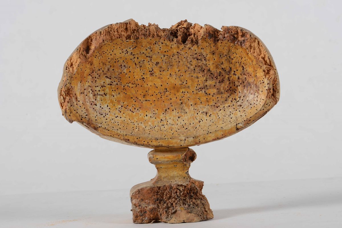 Piccolo Busto Acefalo in Legno Dorato, XVII Secolo