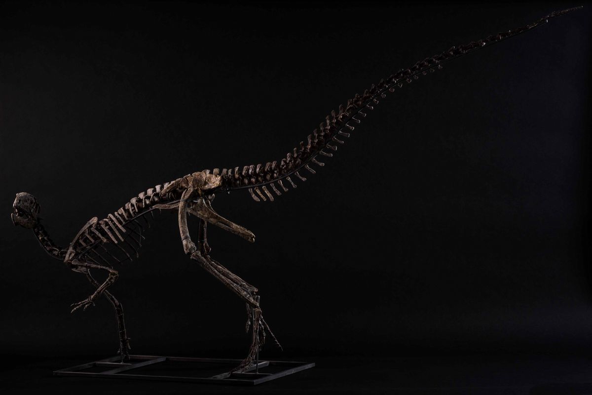 Othnielosaurus