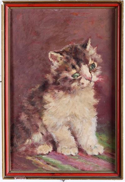 Anonimo del XX Secolo Gatto
