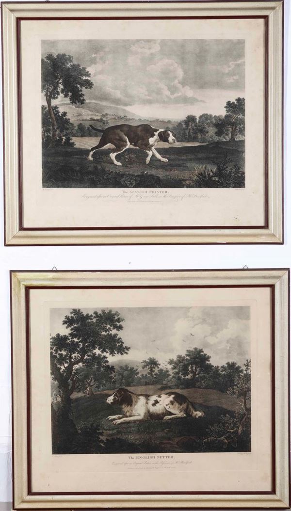 Tre stampe raffiguranti cani da caccia