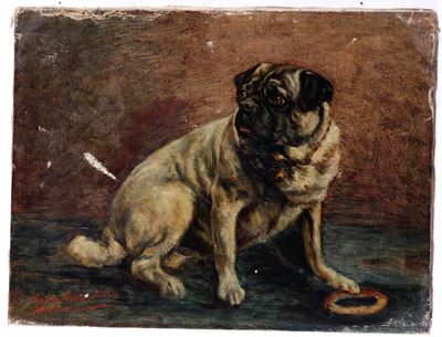 Carlino