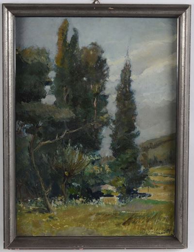 Decio Salvestriniestate, 1933 il Buzzigotto