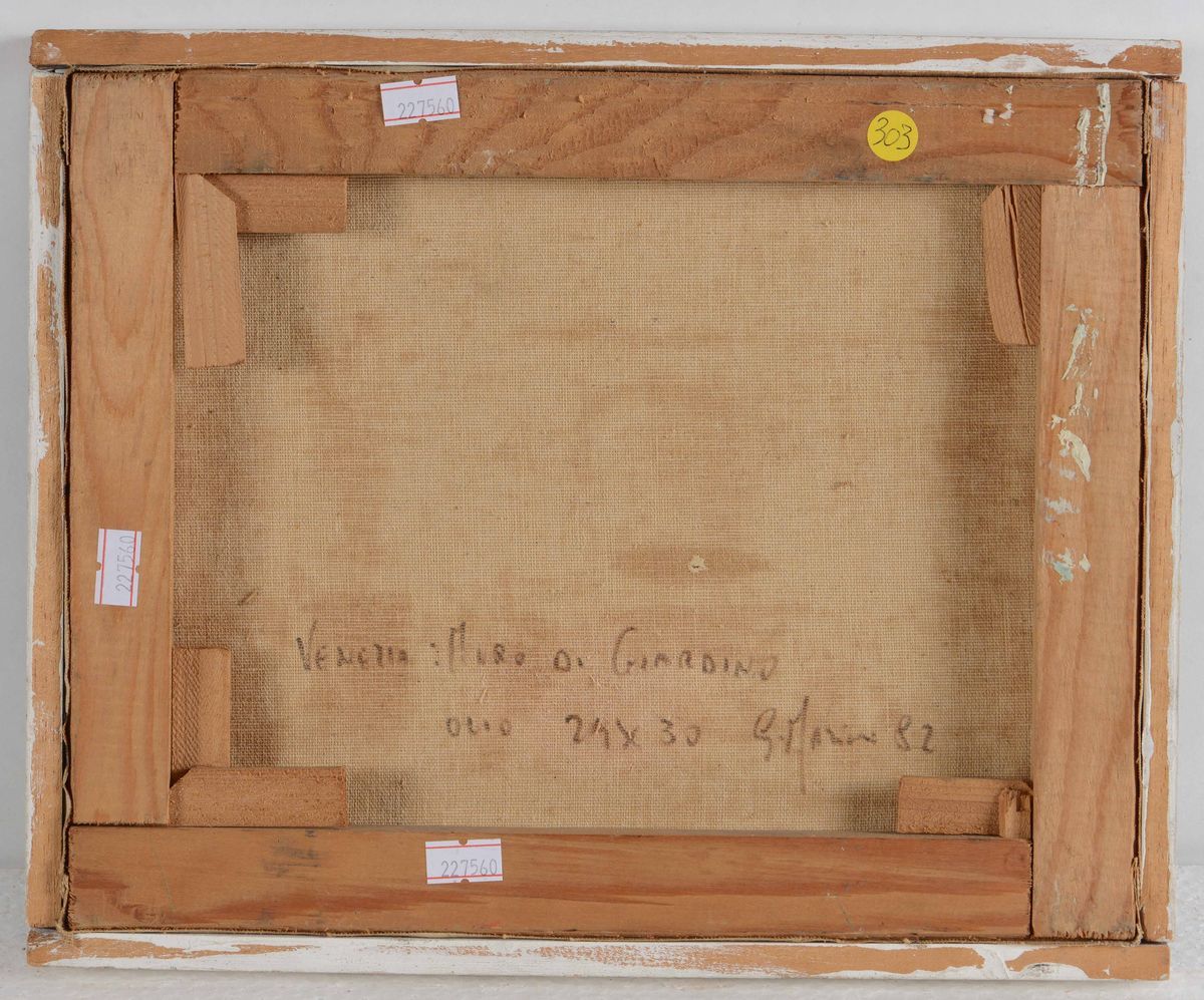G.marinivenezia