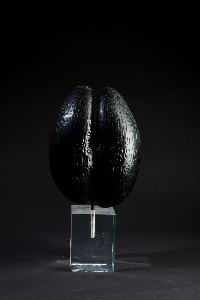 Coco De Mer