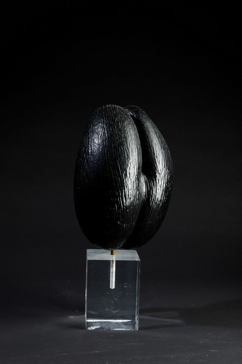 Coco De Mer