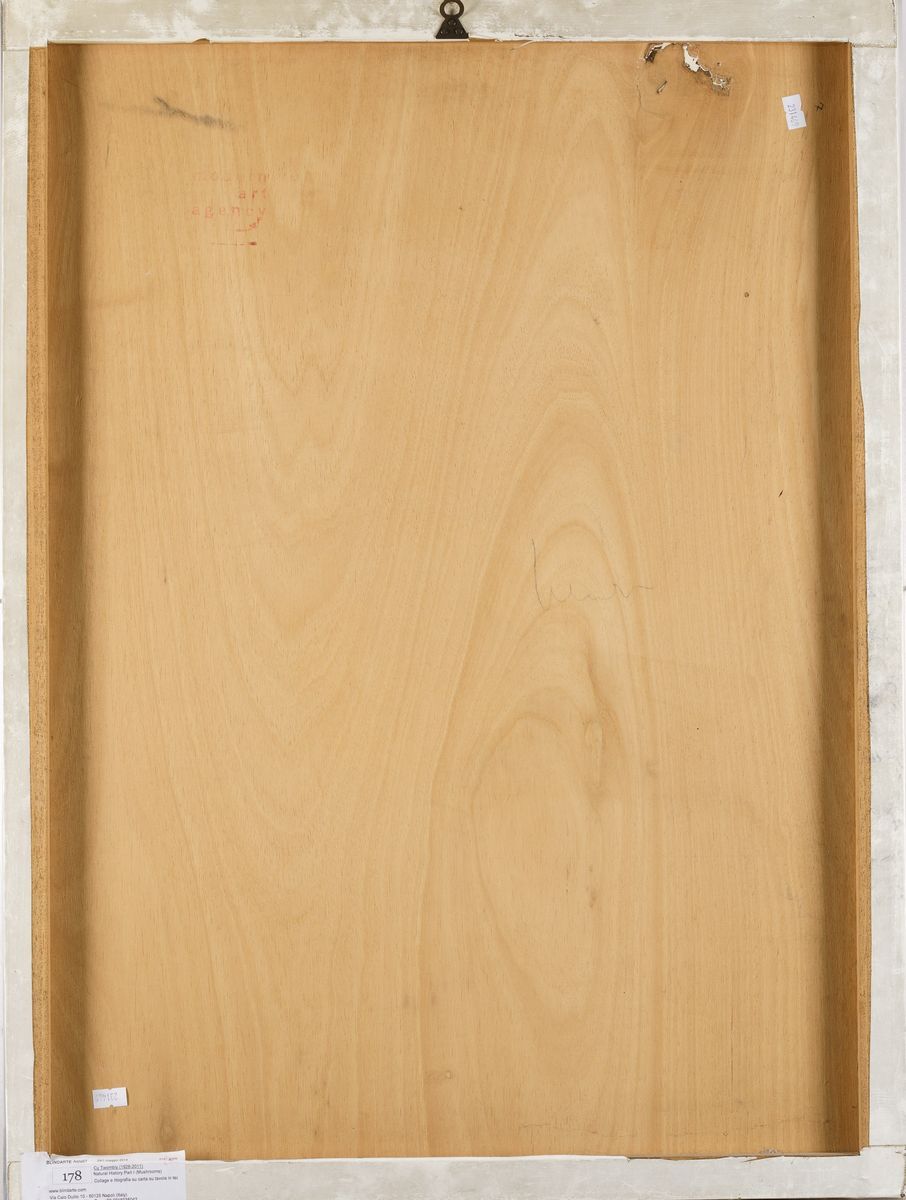 Cy Twombly (1928-2011)natural History Part i (mushrooms)