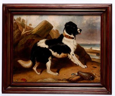 Anonimo della Fine XIX Sec.border Collie in Spiaggia