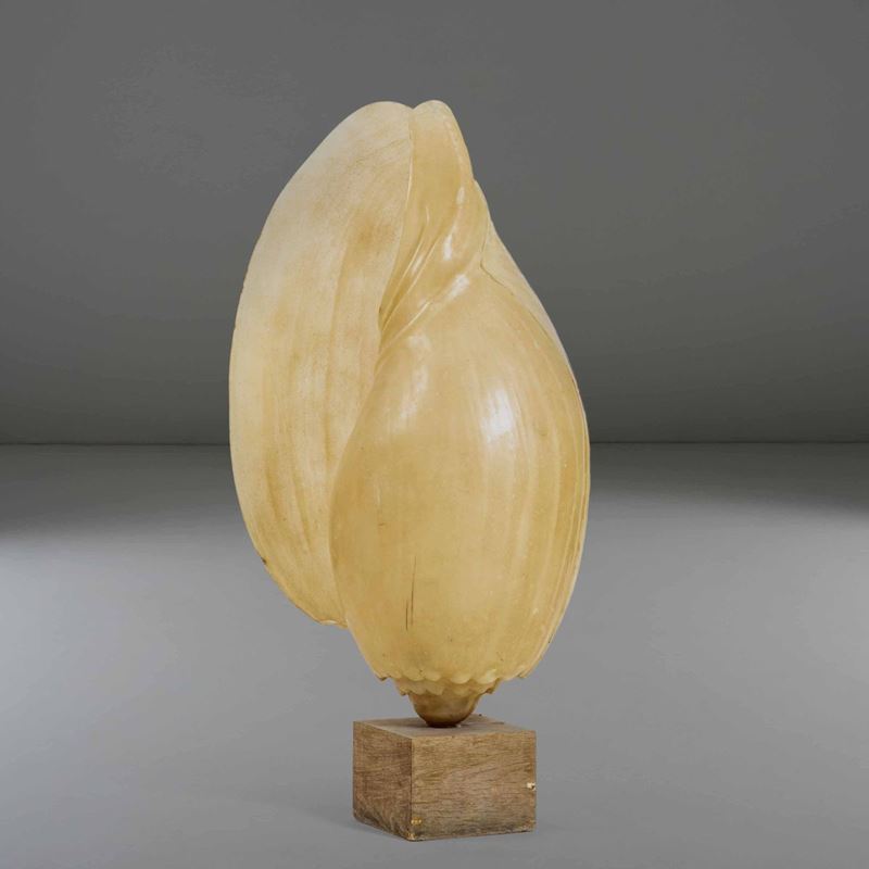Lampada da terra con base in legno e diffusore in vetroresina a forma di conchiglia.  - Auction PopUp Design - Cambi Casa d'Aste