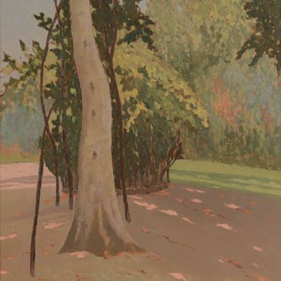Paesaggio Boschivo