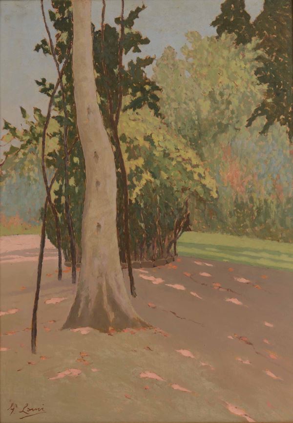 Giovanni Lomi - Giovanni Lomi (1889-1969) Paesaggio boschivo