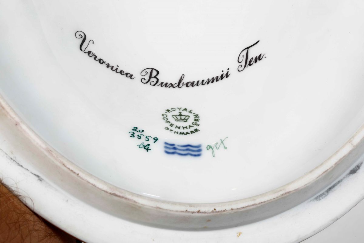 Zuppiera dal Servizio “flora Danica” Danimarca, Manifattura Royal Copenaghen, 1969-1974