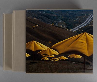 The Umbrellas, Japan-usa 1984-1991