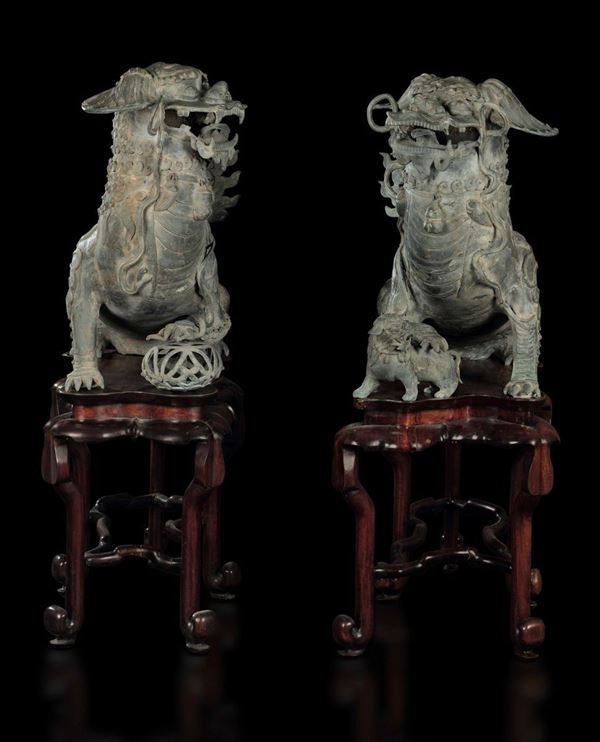 Rara coppia di grandi sculture in bronzo a foggia di cani di Pho su stand in legno di Homu, Cina, Dinastia Ming, XVI secolo