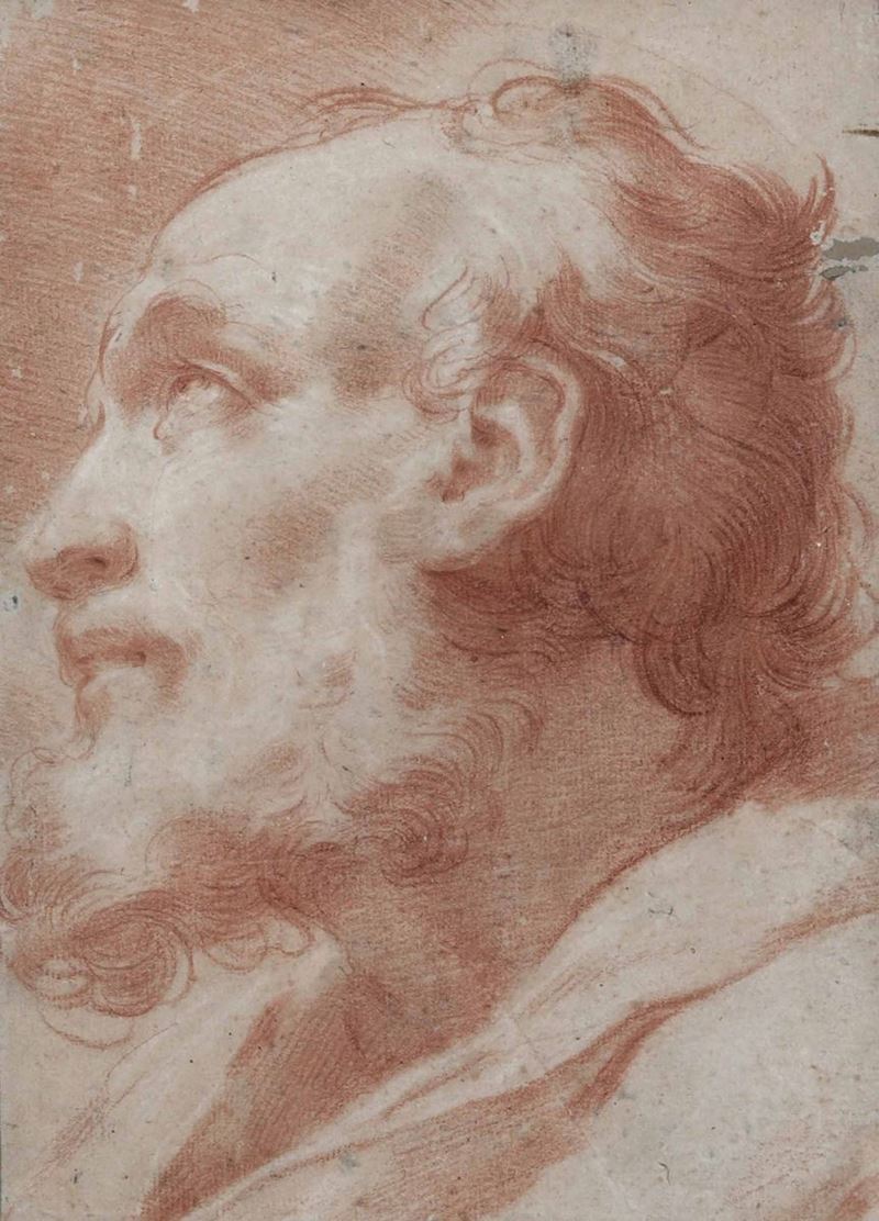 Gaetano Gandolfi (Bologna 1734-1802) Testa di Apostolo  - Asta Dipinti antichi - Cambi Casa d'Aste