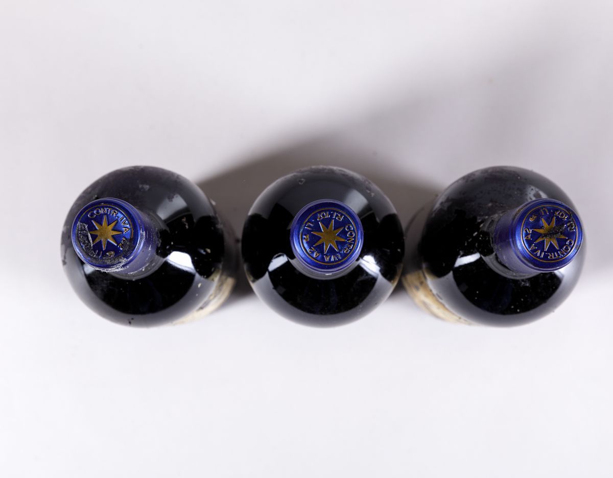 Tenuta San Guido, Sassicaia