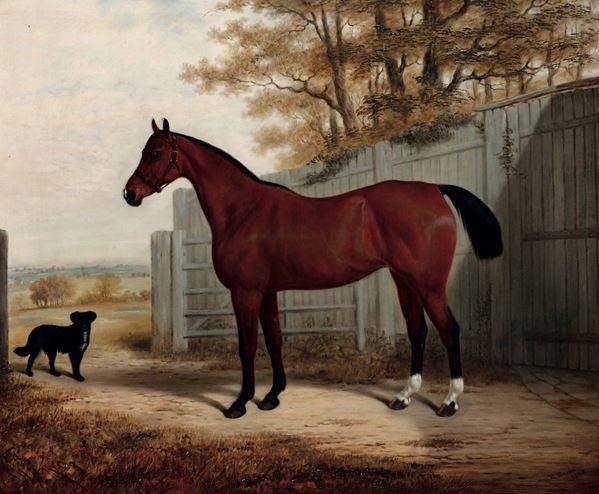 E. Brown (XIX secolo) Cavallo Baio