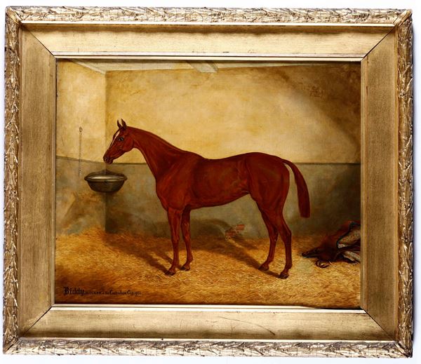 John Frederick Herring Senior - John Frederick Herring Senior (Londra 1795 - Tonbridge 1865) Cavallo nel box, Biddy, vincitore della coppa Cottenham 1903