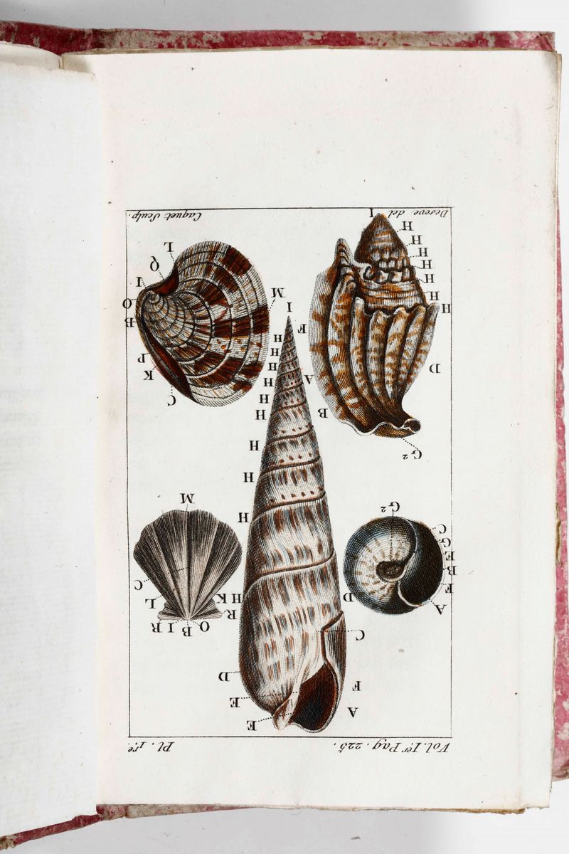 Buffon, George-louis Leclerchistoire Naturelle De Buffon, Classée Par Ordre, Genres Et Espèces, D...