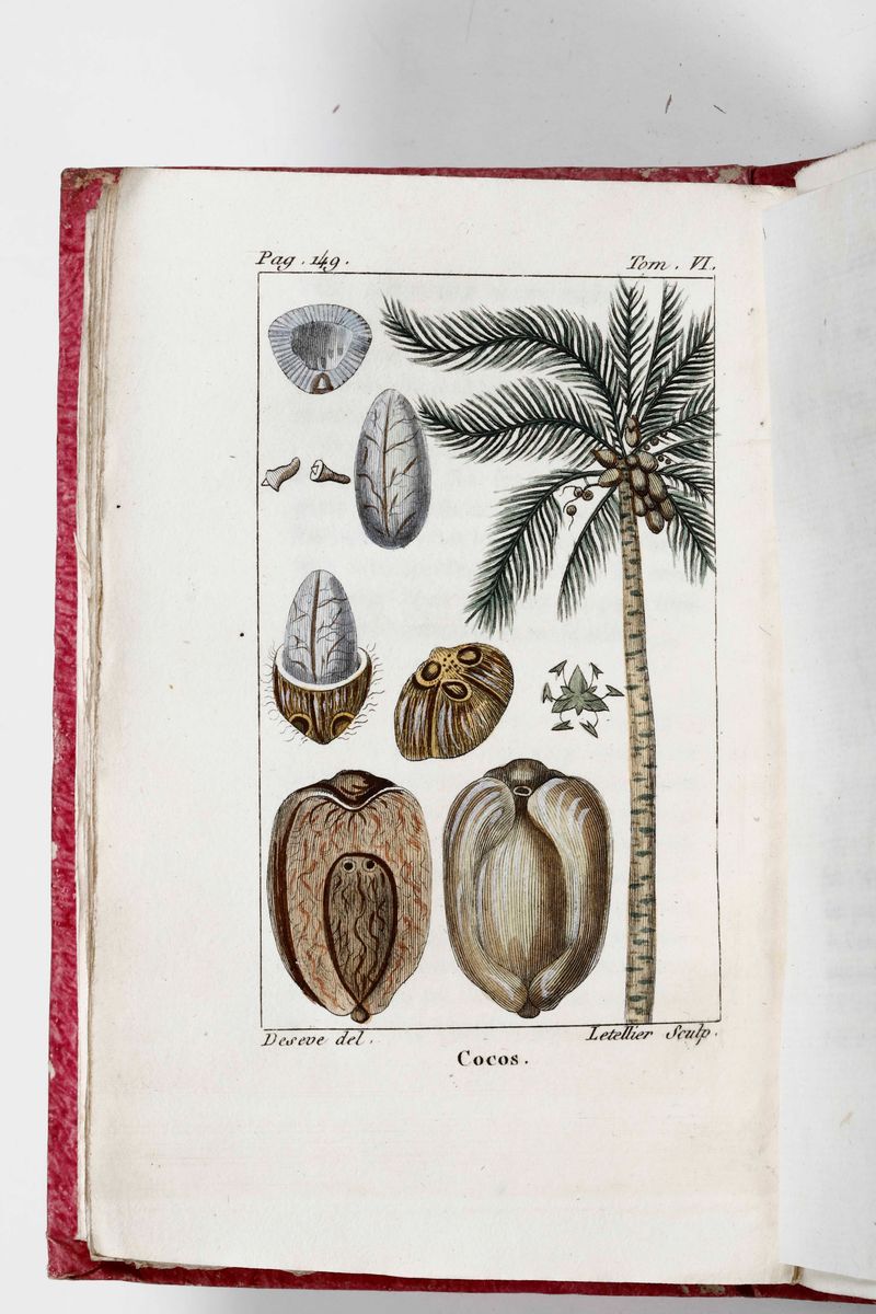 Buffon, George-louis Leclerchistoire Naturelle De Buffon, Classée Par Ordre, Genres Et Espèces, D...