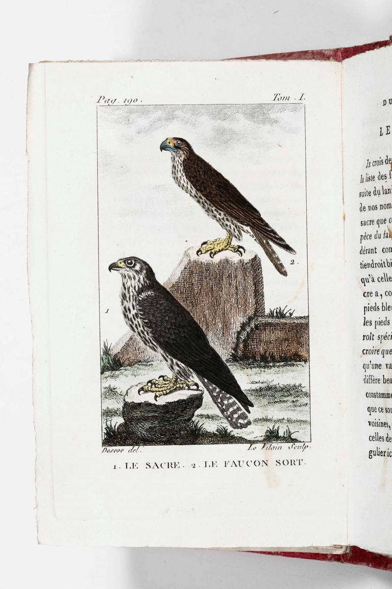Buffon, George-louis Leclerchistoire Naturelle De Buffon, Classée Par Ordre, Genres Et Espèces, D...