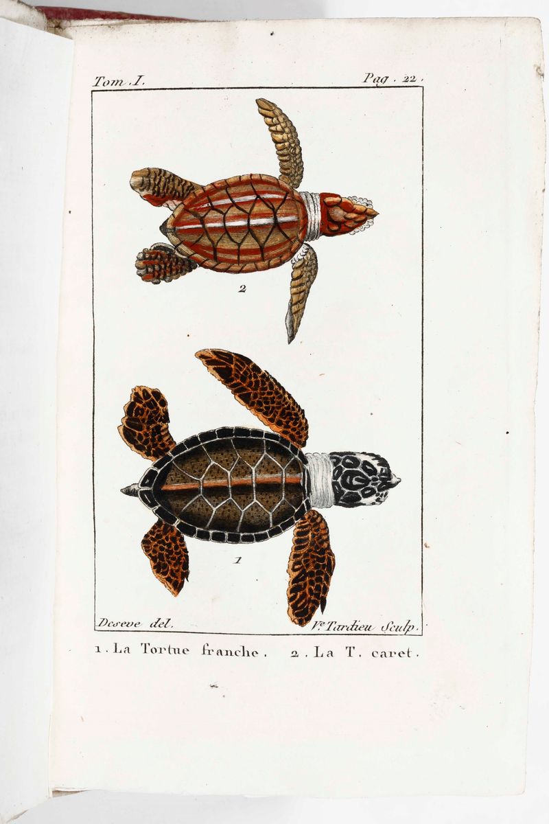 Buffon, George-louis Leclerchistoire Naturelle De Buffon, Classée Par Ordre, Genres Et Espèces, D...