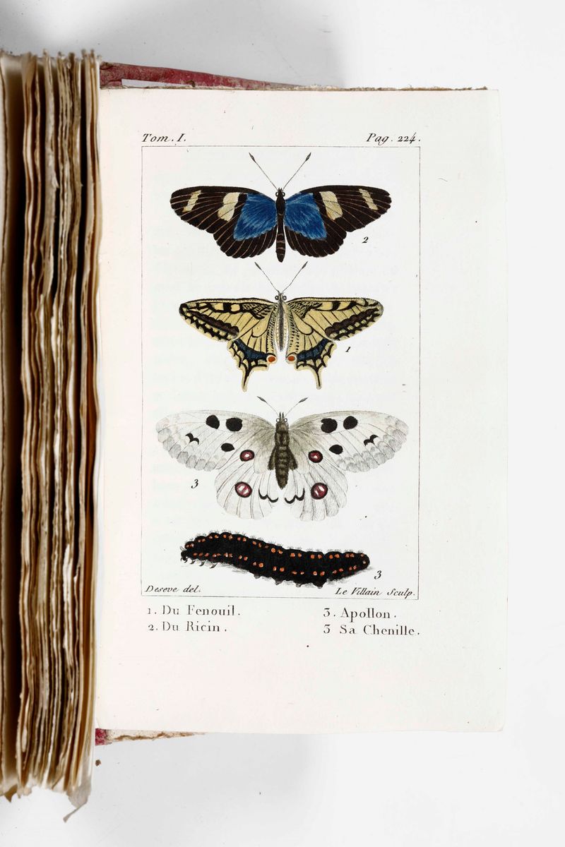 Buffon, George-louis Leclerchistoire Naturelle De Buffon, Classée Par Ordre, Genres Et Espèces, D...
