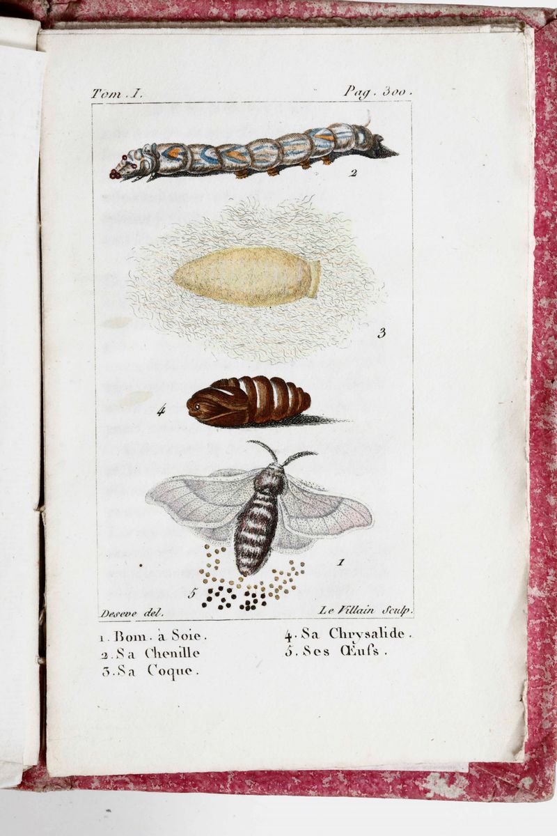 Buffon, George-louis Leclerchistoire Naturelle De Buffon, Classée Par Ordre, Genres Et Espèces, D...
