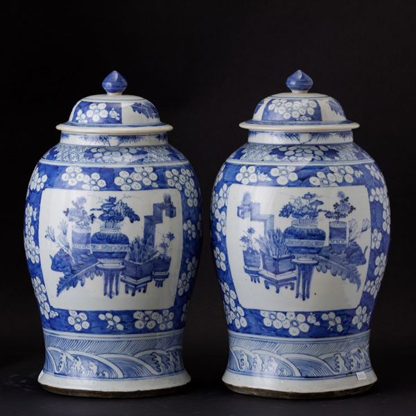 Coppia di potiches in porcellana bianca e blu con soggetti naturalistici entro riserve e decori floreali, Cina, Dinastia Qing, XIX secolo