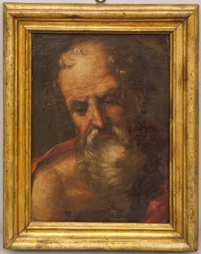 Scuola Emiliana del XVII Secolo Volto di Anziano