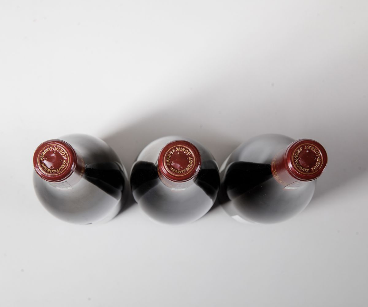 Domaine Perrot-minot, Nuits Saint Georges Premier Cru la Richemone