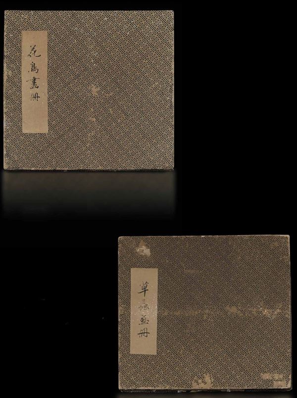 Coppia di album contenenti disegni su carta a soggetto naturalistico con iscrizioni, Cina, Dinastia Qing, XIX-XX secolo