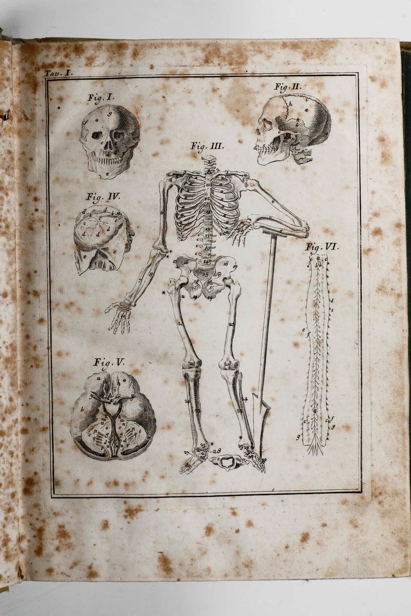 Chambers Efraimodizionario Universale delle Arti e delle Scienze, Venezia 1748-1749