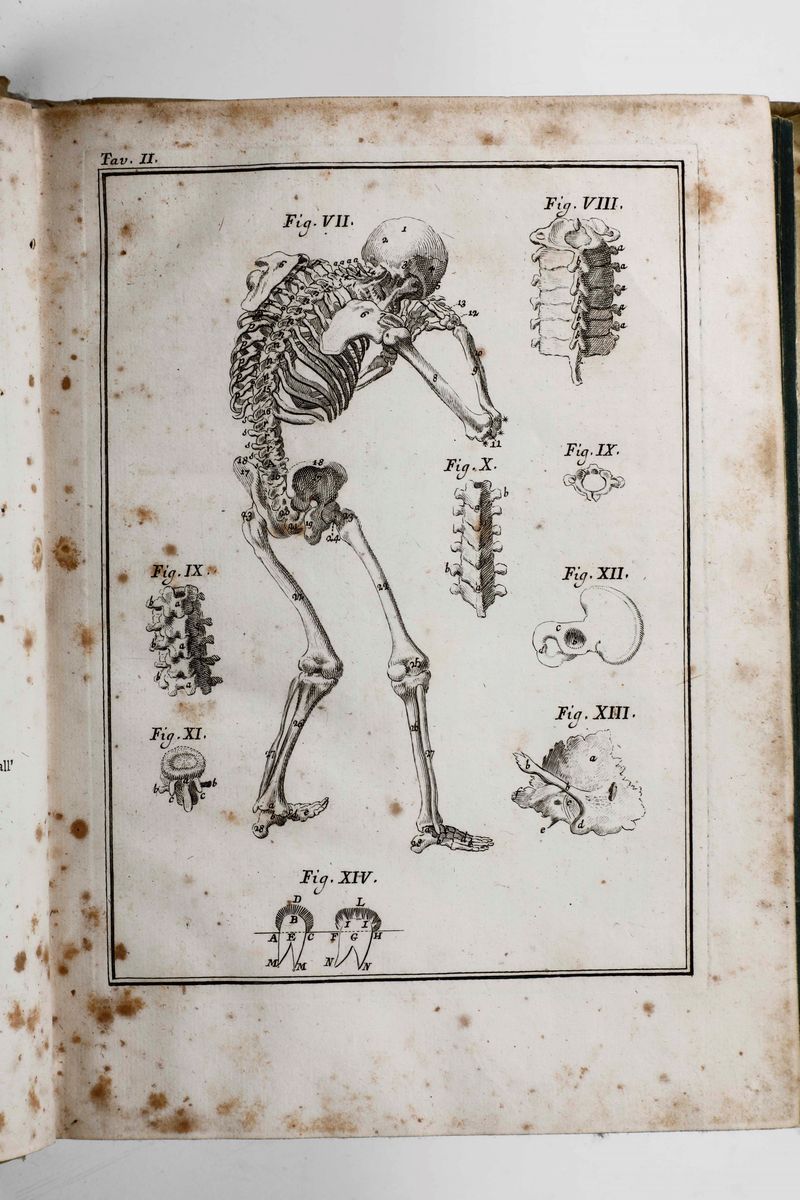 Chambers Efraimodizionario Universale delle Arti e delle Scienze, Venezia 1748-1749