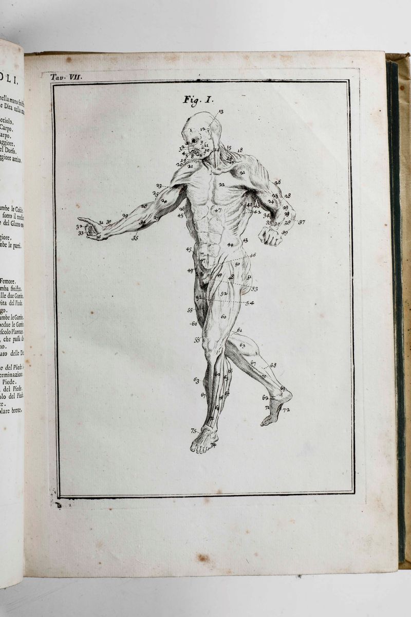 Chambers Efraimodizionario Universale delle Arti e delle Scienze, Venezia 1748-1749