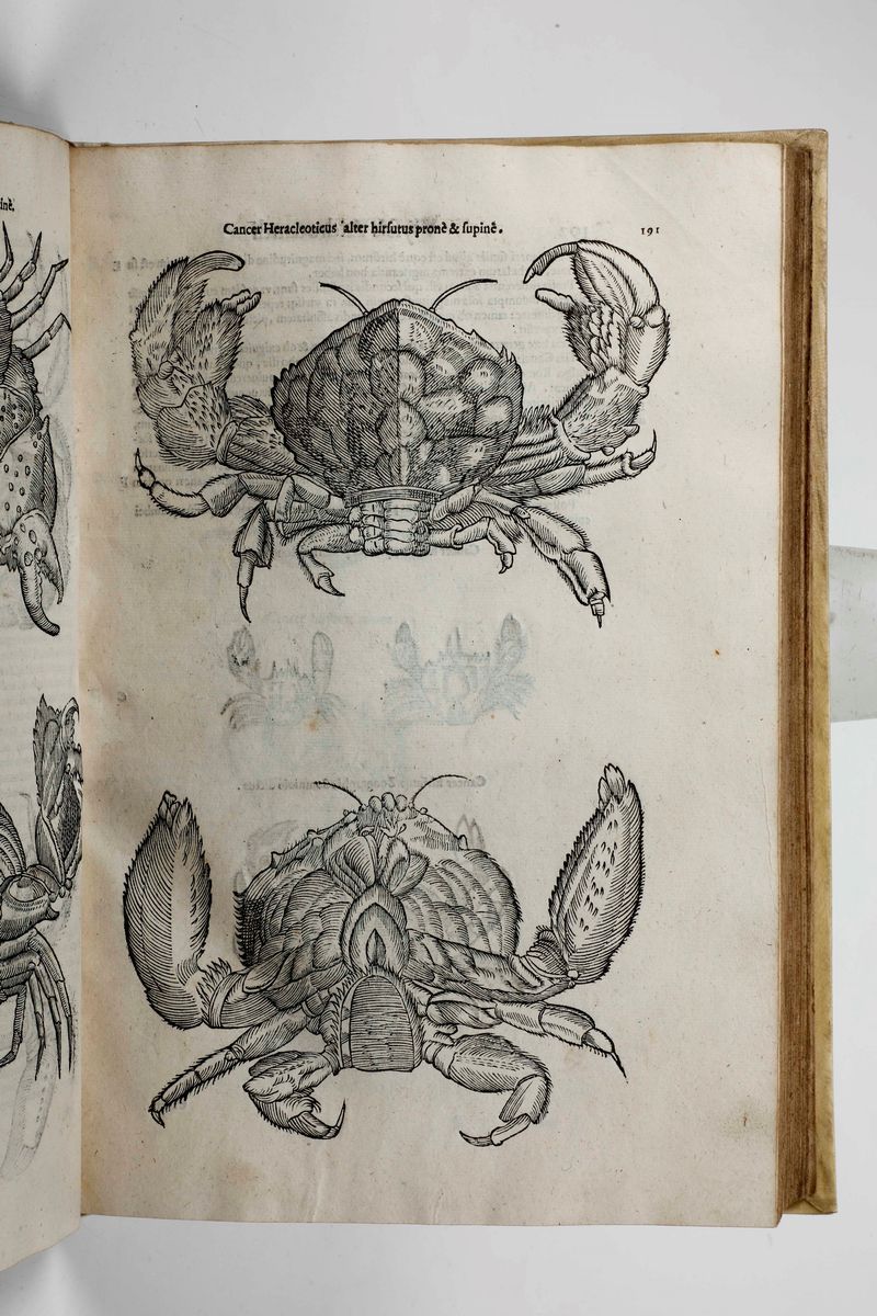 Aldrovandi Ulisseulyssis Androvandi Philosophi Et Medici Bononiensis, De Reliquis Animalibus Exan...
