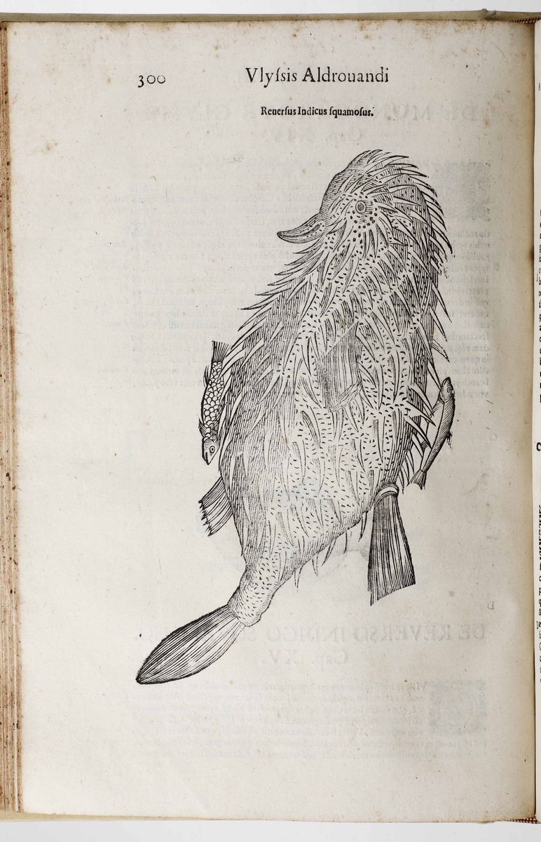 Aldrovandi Ulisseulyssis Androvandi Philosophi Et Medici Bononiensis, De Piscibus Libri V Et De C...