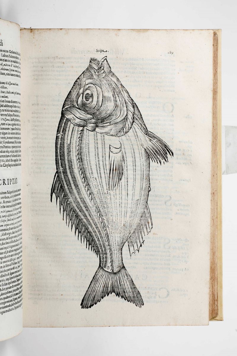 Aldrovandi Ulisseulyssis Androvandi Philosophi Et Medici Bononiensis, De Piscibus Libri V Et De C...