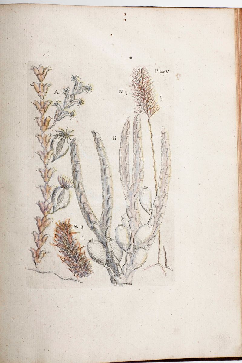 Jean Ellisessai Sur L'histoire Naturelle Des Corallines...alahare, Chez Pierre De Hondt, 1756