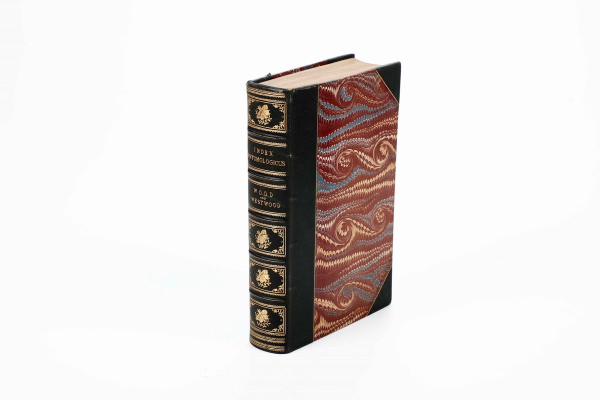 William Wood - Wood William a Complete Illustrated Catalogue Consisting Of Upwards Of Two Thousan...