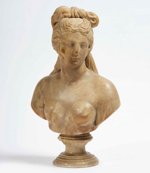 Venere. Busto in alabastro fiorito. Arte barocca italiana XVIII secolo