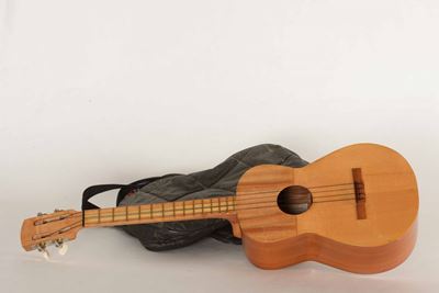 Uculele in Custodia