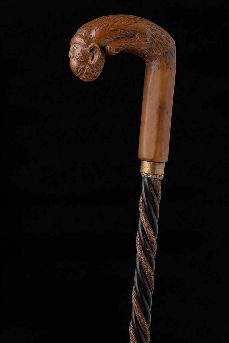 Bastone con Impugnatura in Corno e Legno. Fine XIX Secolo