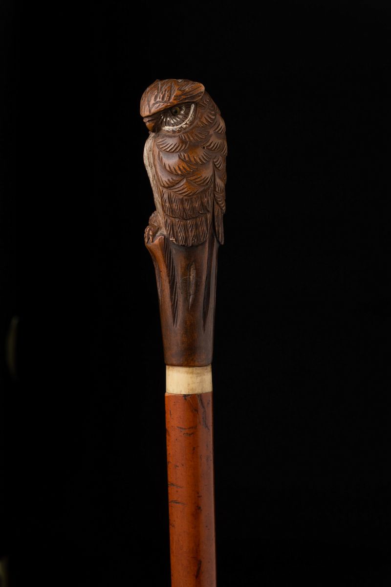 Bastone in Legno. Inghilterra, Fine XIX Secolo